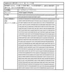 Figure 0007438604000135