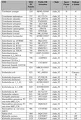 Figure imgf000448_0001