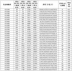 Figure BDA0002976854330001172