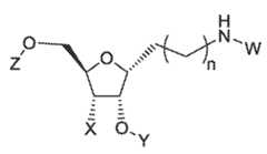 Figure imgf000166_0002