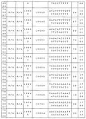 Figure 0007646616000151