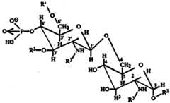 Figure imgf000016_0001