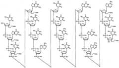 Figure imgf000012_0001