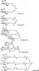 Figure imgf000056_0001