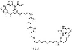 Figure BDA0001453135130003202