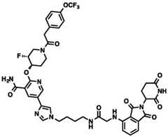 Figure BDA0002964098100002411