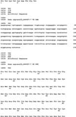 Figure imgb0192
