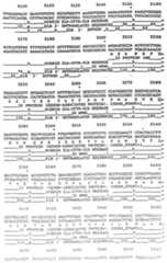 Figure imgf000082_0001