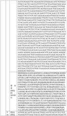 Figure BDA0004033970230007091