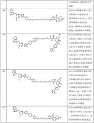 Figure BDA0003027048450003701