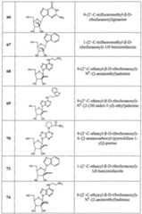 Figure imgf000029_0001