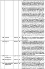 Figure imgf000290_0001