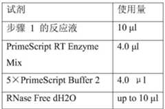 Figure BDA0003642892970000171