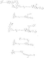 Figure imgf000338_0001