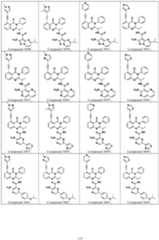 Figure imgf000116_0001