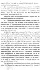 Figure imgf000008_0001