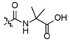 Figure imgf000011_0001