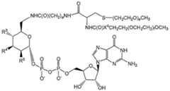 Figure imgf000052_0002