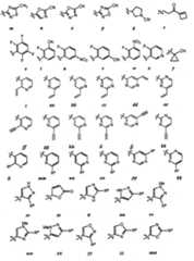 Figure BPA00001280125600421