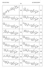 Figure imgf000256_0001