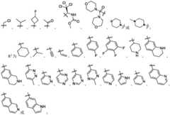 Figure BDA0003361869440000111