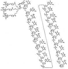 Figure 0007429103000537