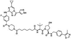 Figure BDA0002964098100001651