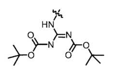Figure JPOXMLDOC01-appb-C000013