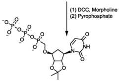 Figure imgf000209_0002