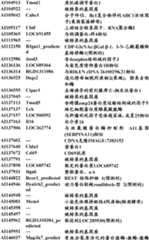 Figure BDA0000057170160000891