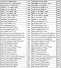 Figure imgf000057_0001