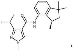 Figure FDA0003102738480000042