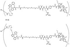 Figure BDA0002889616220001671