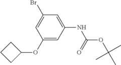 Figure US08722687-20140513-C00015