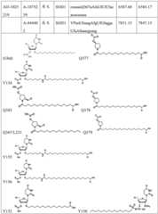 Figure BDA0003746740800002841