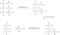 Figure US06448392-20020910-C00005