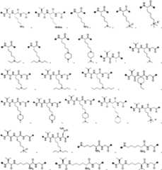 Figure PCTCN2022073822-appb-000116