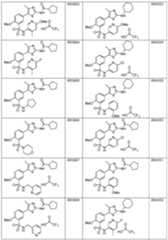 Figure imgf000033_0001