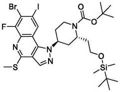 Figure BDA0003993773060002902