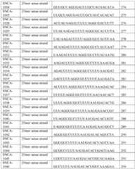 Figure imgf000180_0001