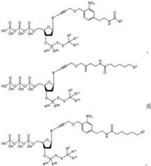 Figure BDA0003670511740001921