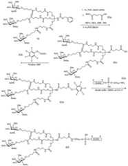 Figure imgf000201_0001