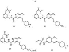 Figure imgf000012_0001