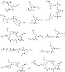 Figure imgf000121_0001