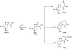 Figure BDA0001979965430001001