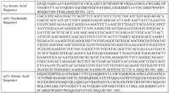 Figure imgf000064_0001