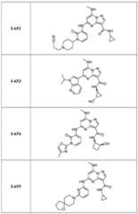 Figure imgf000209_0001