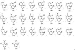 Figure PCTCN2022124111-appb-100019