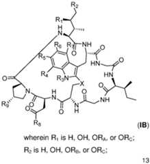 Figure imgf000014_0002