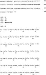 Figure IPA00001577376600241